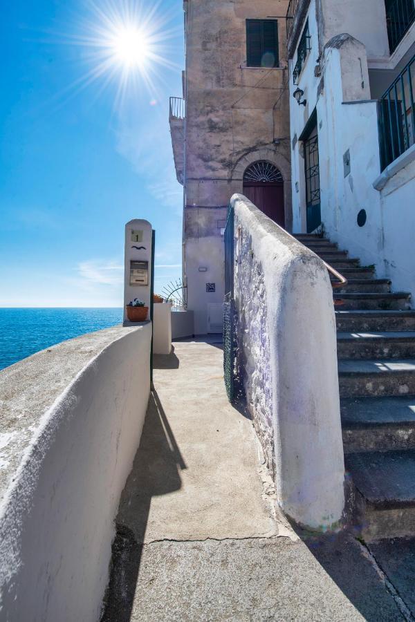Apartament Il Nido Del Gabbiano Minori Zewnętrze zdjęcie